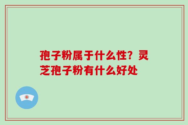 孢子粉属于什么性?灵芝孢子粉有什么好处