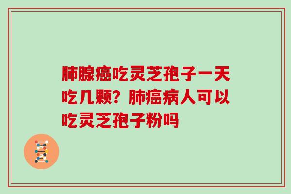 肺腺癌吃灵芝孢子一天吃几颗？肺癌病人可以吃灵芝孢子粉吗