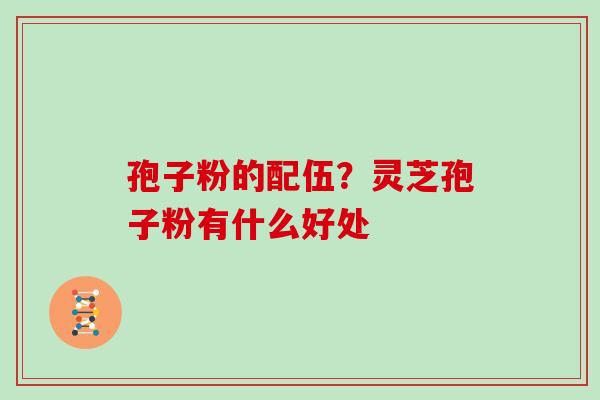 孢子粉的配伍?灵芝孢子粉有什么好处