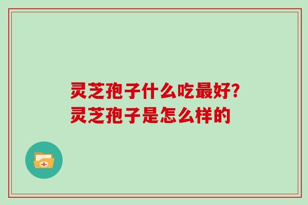 灵芝孢子什么吃最好?灵芝孢子是怎么样的