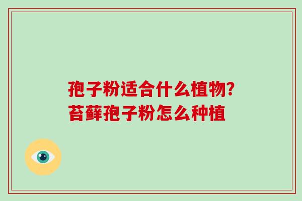 孢子粉适合什么植物?苔藓孢子粉怎么种植