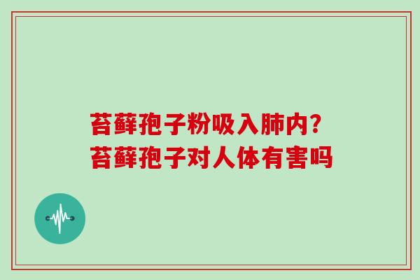 苔藓孢子粉吸入肺内?苔藓孢子对人体有害吗