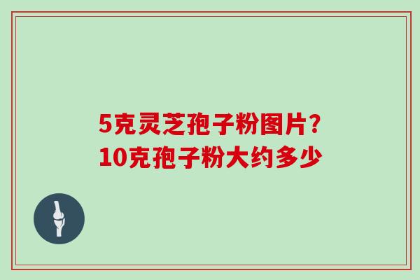 5克灵芝孢子粉图片?10克孢子粉大约多少