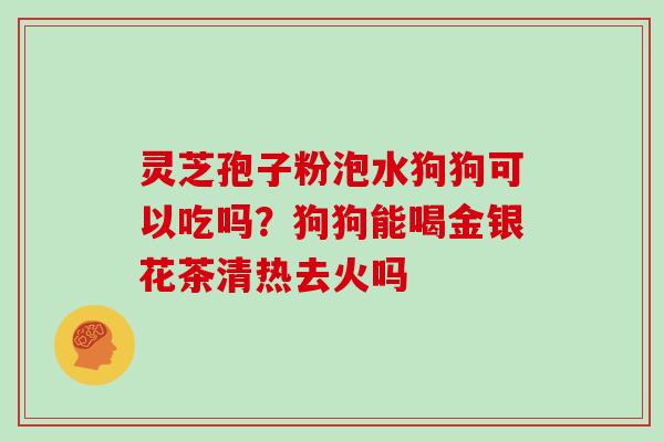 灵芝孢子粉泡水狗狗可以吃吗?狗狗能喝金银花茶清热去火吗