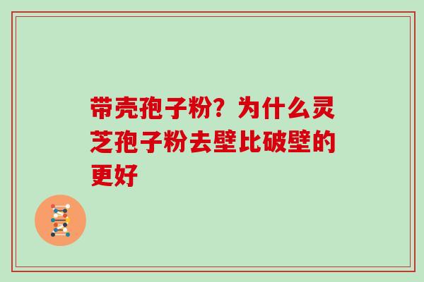 带壳孢子粉?为什么灵芝孢子粉去壁比破壁的更好