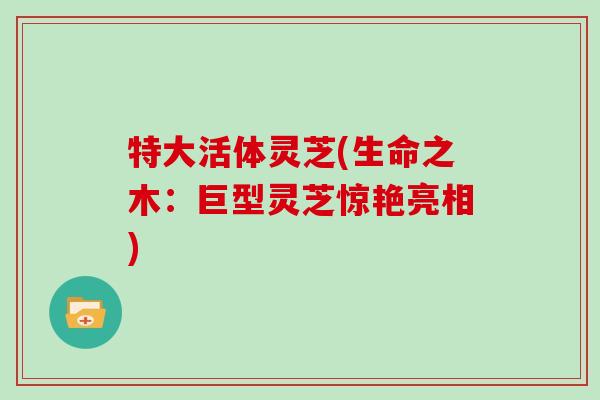 特大活体灵芝(生命之木:巨型灵芝惊艳亮相)