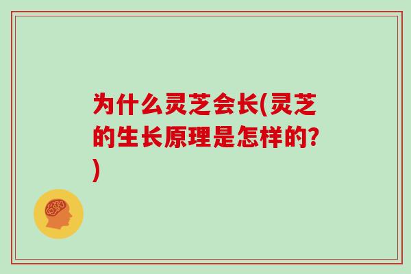 为什么灵芝会长(灵芝的生长原理是怎样的?)