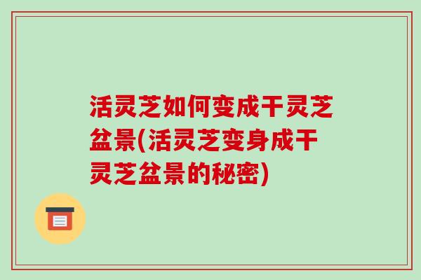 活灵芝如何变成干灵芝盆景(活灵芝变身成干灵芝盆景的秘密)
