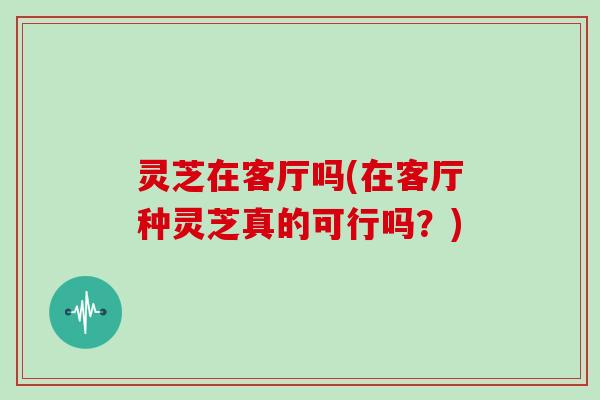 灵芝在客厅吗(在客厅种灵芝真的可行吗？)