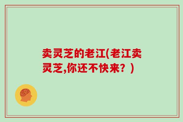 卖灵芝的老江(老江卖灵芝,你还不快来?)