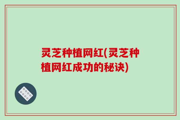 灵芝种植网红(灵芝种植网红成功的秘诀)