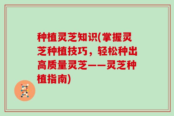 种植灵芝知识(掌握灵芝种植技巧,轻松种出高质量灵芝——灵芝种植指南)