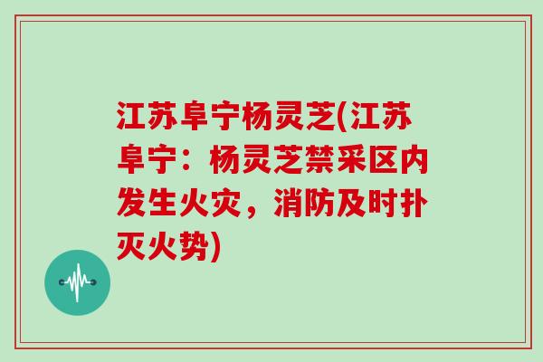 江苏阜宁杨灵芝(江苏阜宁:杨灵芝禁采区内发生火灾,消防及时扑灭火势)