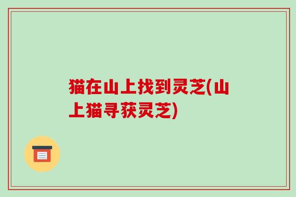 猫在山上找到灵芝(山上猫寻获灵芝)