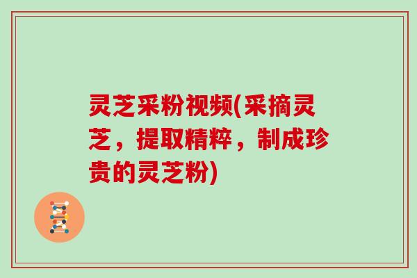 灵芝采粉视频(采摘灵芝,提取精粹,制成珍贵的灵芝粉)