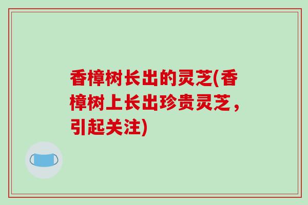 香樟树长出的灵芝(香樟树上长出珍贵灵芝,引起关注)