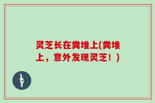 灵芝长在粪堆上(粪堆上,意外发现灵芝!)