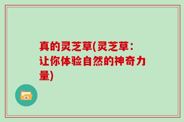 真的灵芝草(灵芝草:让你体验自然的神奇力量)