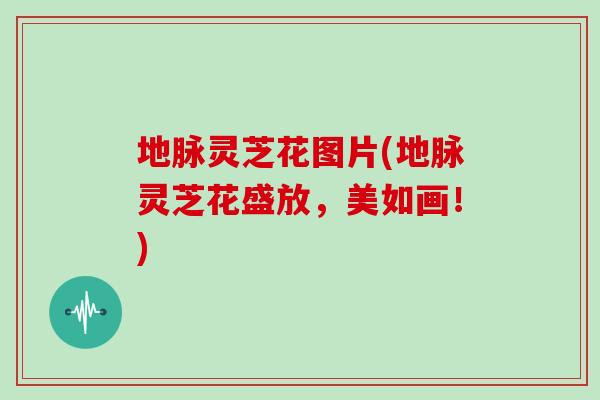 地脉灵芝花图片(地脉灵芝花盛放,美如画!)