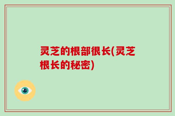 灵芝的根部很长(灵芝根长的秘密)