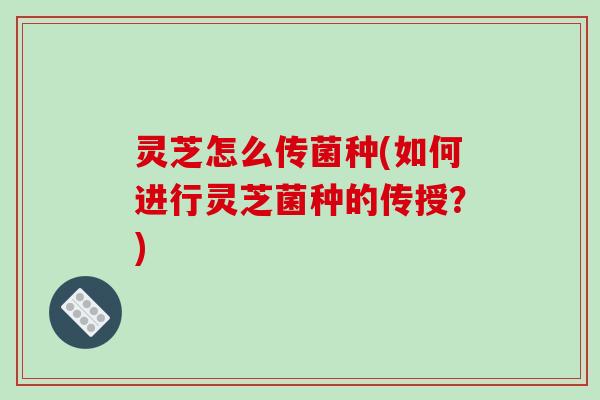 灵芝怎么传菌种(如何进行灵芝菌种的传授?)