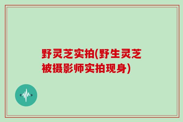 野灵芝实拍(野生灵芝被摄影师实拍现身)