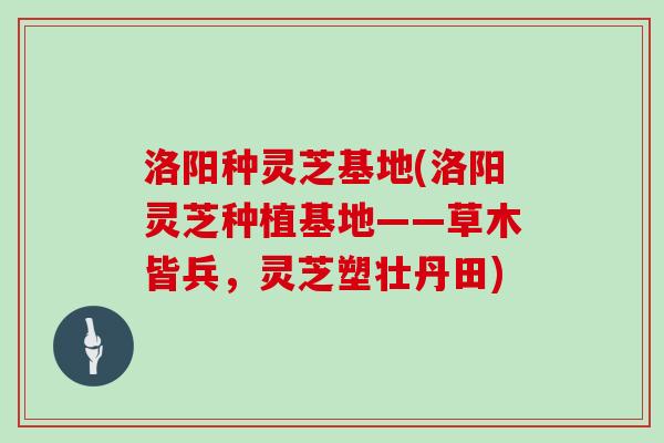 洛阳种灵芝基地(洛阳灵芝种植基地——草木皆兵，灵芝塑壮丹田)
