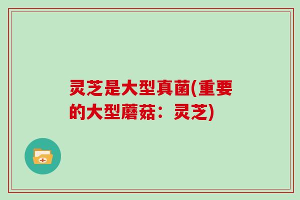 灵芝是大型真菌(重要的大型蘑菇:灵芝)
