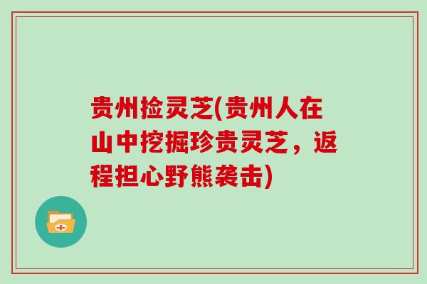 贵州捡灵芝(贵州人在山中挖掘珍贵灵芝,返程担心野熊袭击)