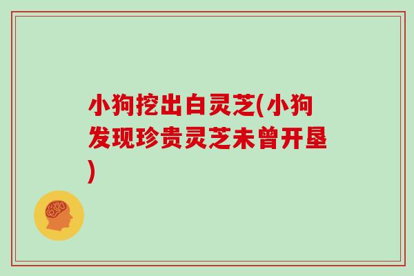 小狗挖出白灵芝(小狗发现珍贵灵芝未曾开垦)