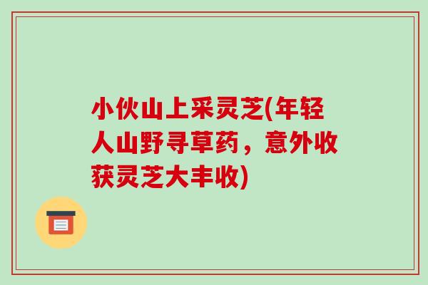小伙山上采灵芝(年轻人山野寻草药，意外收获灵芝大丰收)