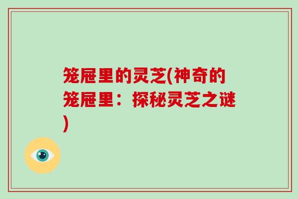 笼屉里的灵芝(神奇的笼屉里:探秘灵芝之谜)
