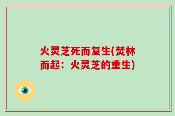 火灵芝死而复生(焚林而起:火灵芝的重生)