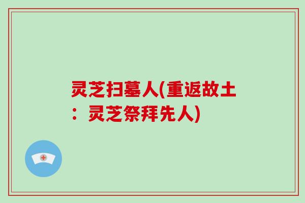 灵芝扫墓人(重返故土:灵芝祭拜先人)