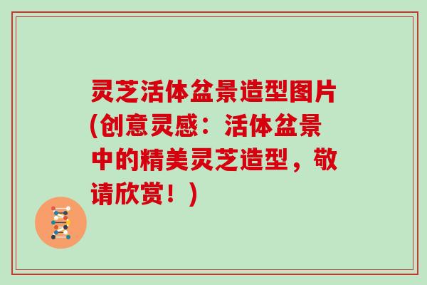 灵芝活体盆景造型图片(创意灵感：活体盆景中的精美灵芝造型，敬请欣赏！)