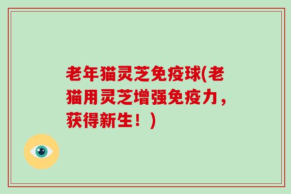 老年猫灵芝免疫球(老猫用灵芝增强免疫力,获得新生!)