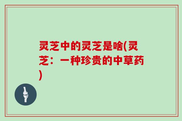 灵芝中的灵芝是啥(灵芝：一种珍贵的中草药)