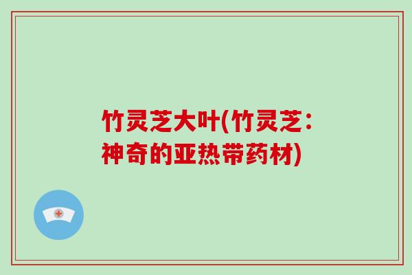 竹灵芝大叶(竹灵芝:神奇的亚热带药材)