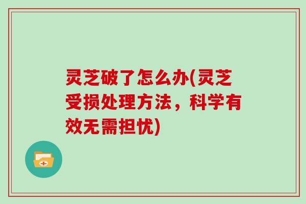 灵芝破了怎么办(灵芝受损处理方法,科学有效无需担忧)
