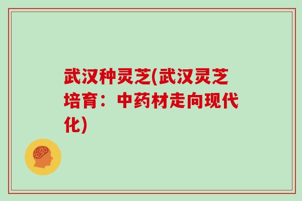 武汉种灵芝(武汉灵芝培育：中药材走向现代化)