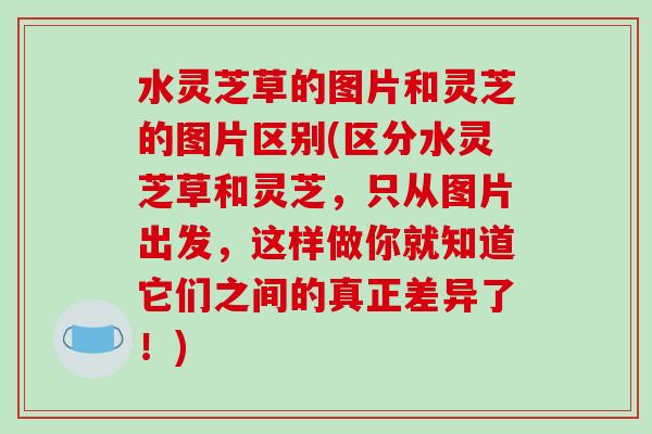 水灵芝草的图片和灵芝的图片区别(区分水灵芝草和灵芝，只从图片出发，这样做你就知道它们之间的真正差异了！)