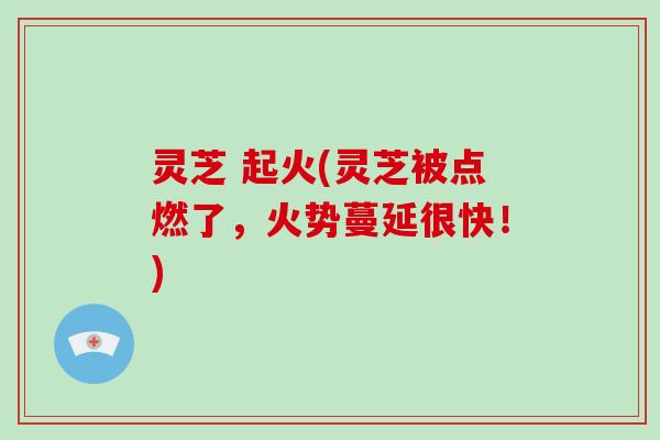 灵芝 起火(灵芝被点燃了,火势蔓延很快!)