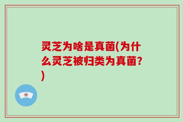 灵芝为啥是真菌(为什么灵芝被归类为真菌？)