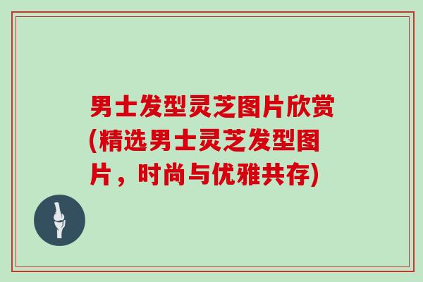 男士发型灵芝图片欣赏(精选男士灵芝发型图片，时尚与优雅共存)