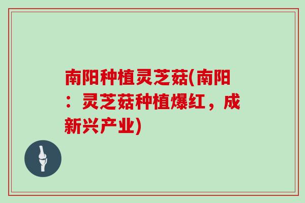 南阳种植灵芝菇(南阳:灵芝菇种植爆红,成新兴产业)