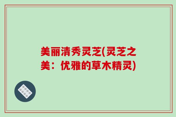 美丽清秀灵芝(灵芝之美:优雅的草木精灵)