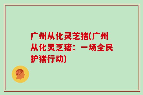 广州从化灵芝猪(广州从化灵芝猪:一场全民护猪行动)