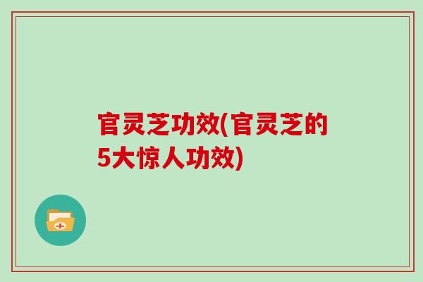 官灵芝功效(官灵芝的5大惊人功效)