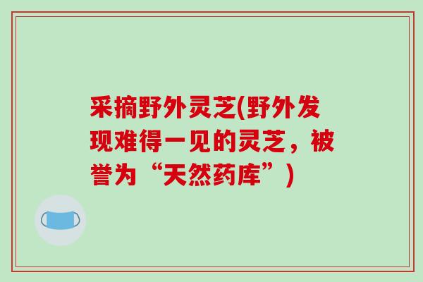 采摘野外灵芝(野外发现难得一见的灵芝,被誉为“天然药库”)