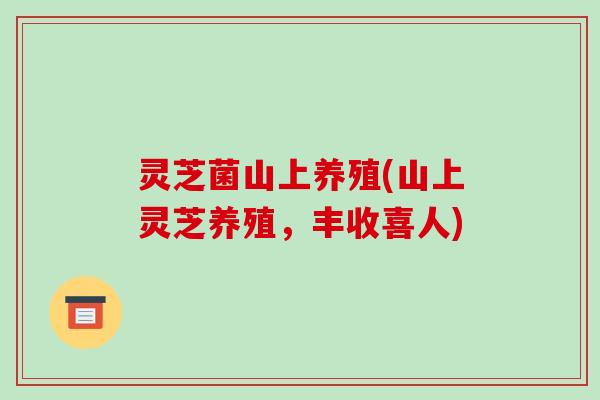 灵芝菌山上养殖(山上灵芝养殖,丰收喜人)